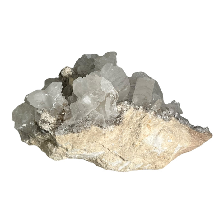 Selenitfischschwanz Naica Mexiko DB28