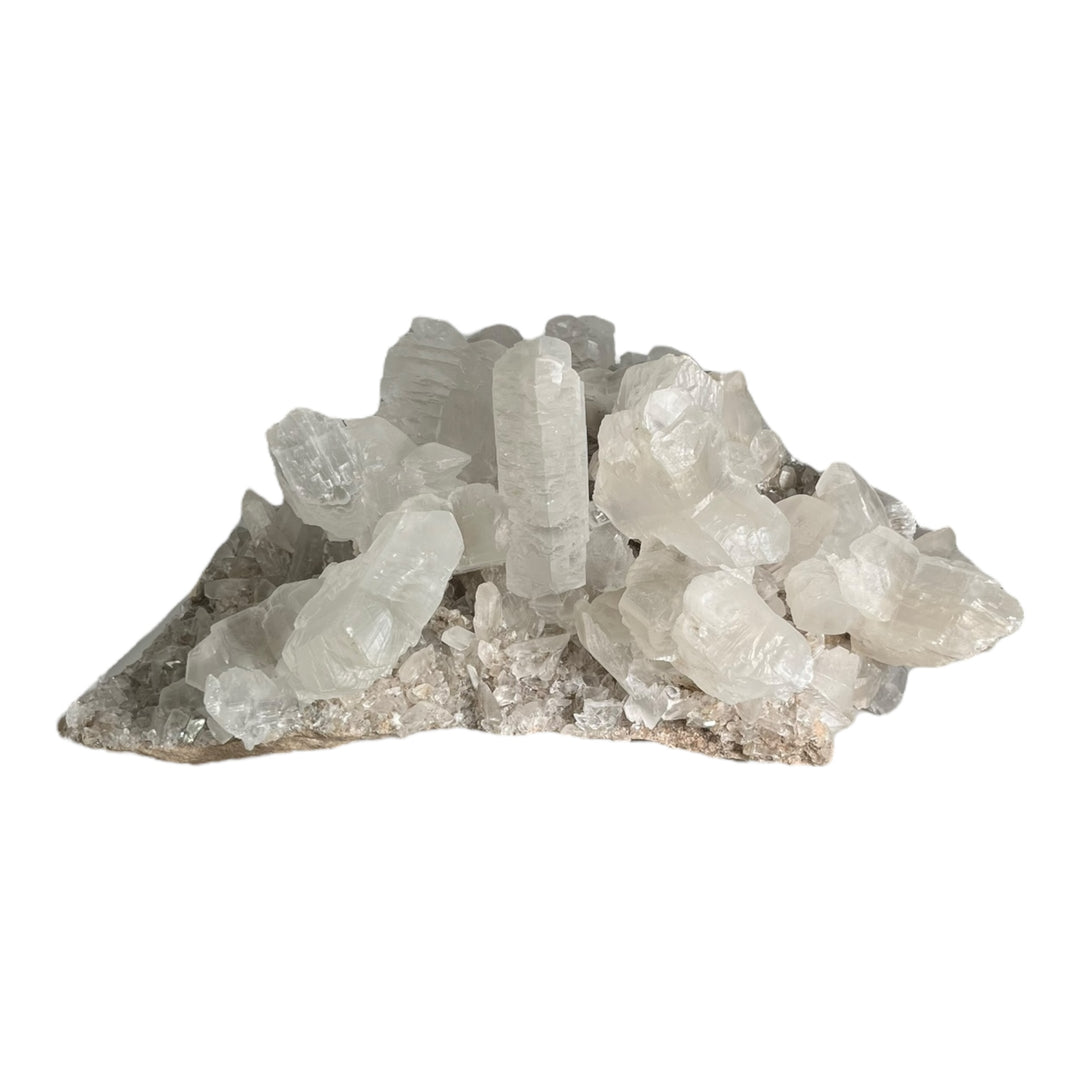 Selenitfischschwanz Naica Mexiko DB28