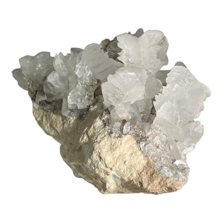 Selenitfischschwanz Naica Mexiko DB28