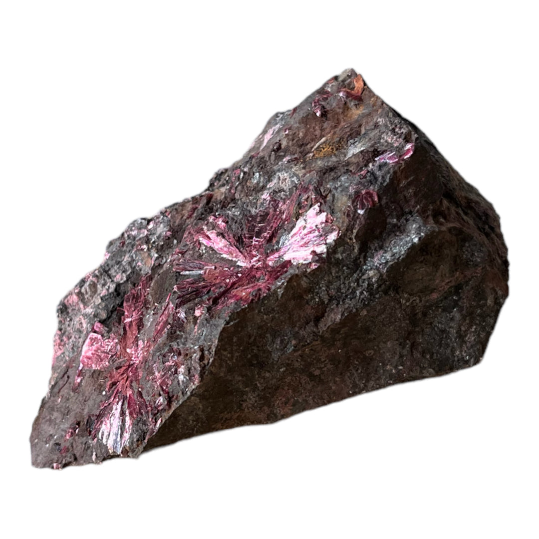 Erythrite  en fleurs Bou Azzer Maroc