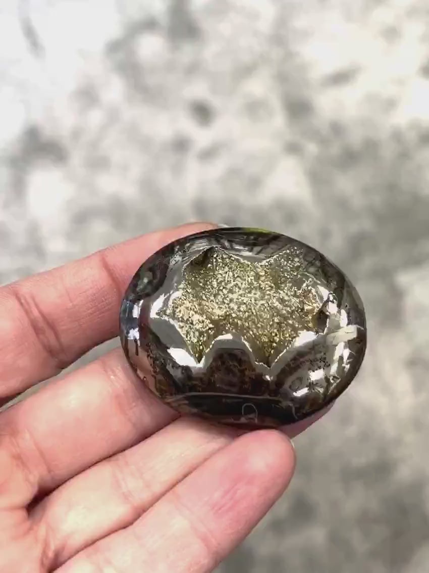 Ammonite pyritisée, AM_P064, taille cabochon, 46x37x10 mm; 26.8g;