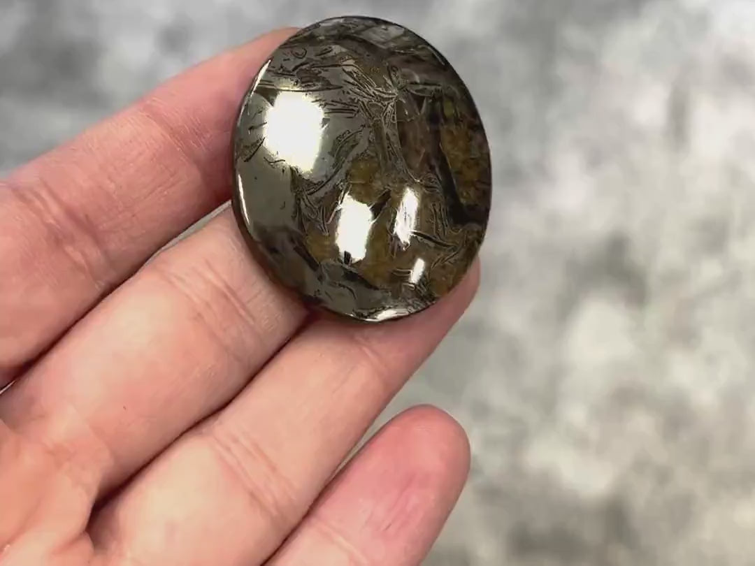 Ammonite pyritisée, AM_P050, taille cabochon, 40x35x7 mm; 16.2g;