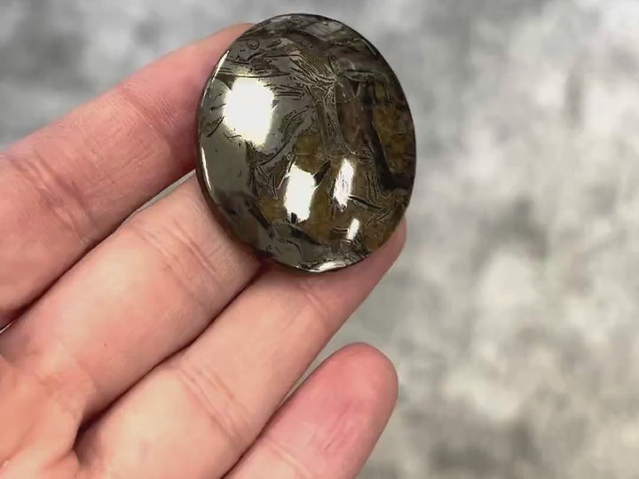 Ammonite pyritisée, AM_P050, taille cabochon, 40x35x7 mm; 16.2g;