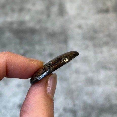 Ammonite pyritisée, AM_P086, taille cabochon, 33x21x6 mm; 7.4g