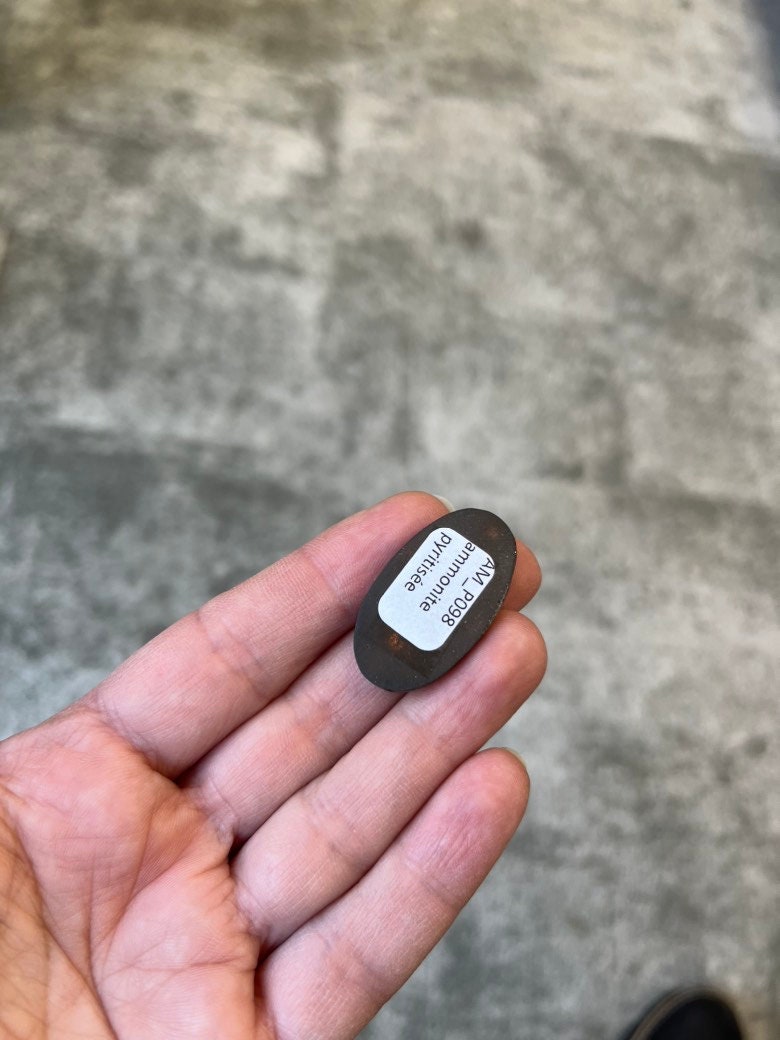 Ammonite pyritisée, AM_P098, taille cabochon, 32x18x5 mm; 5.3g