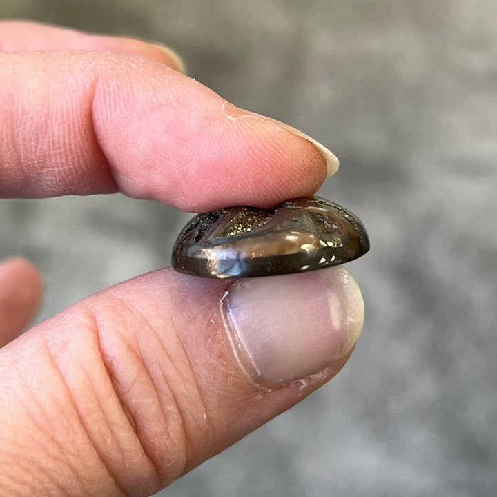 Ammonite pyritisée, AM_P105, taille cabochon, 29x21x6 mm; 5.7g