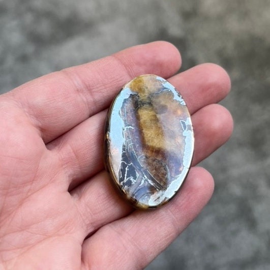 Ammonite pyritisée, AM_P044, taille cabochon, 44x29x5 mm; 15g;