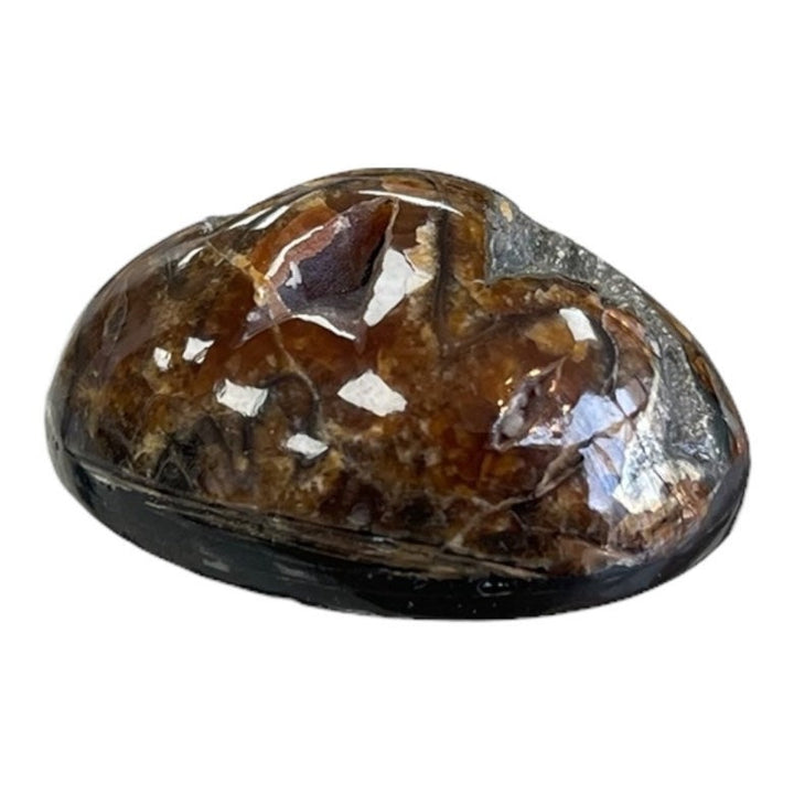 Ammonite pyritisée, AM_P053, taille cabochon, 36x26x14 mm; 17.3g;