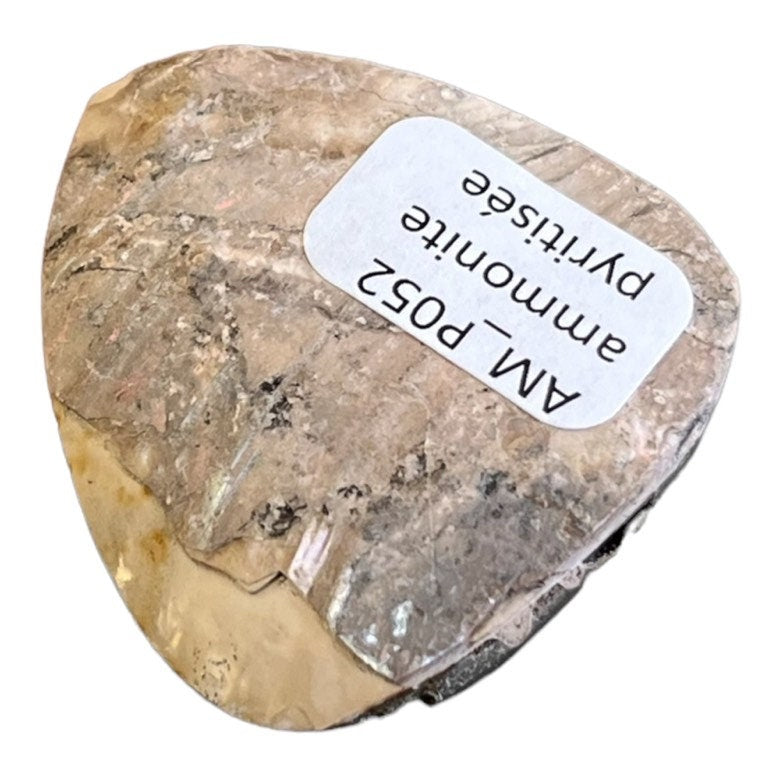 Ammonite pyritisée, AM_P052, taille cabochon, 40x35x10 mm; 13g;