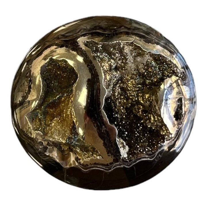 Ammonite pyritisée, AM_P057, taille cabochon, 48x45x15 mm; 40.4g;