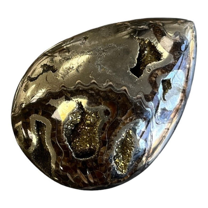 Ammonite pyritisée, AM_P080, taille cabochon, 50x36x10 mm; 27.6g;