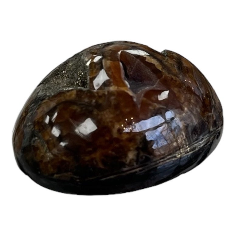 Ammonite pyritisée, AM_P053, taille cabochon, 36x26x14 mm; 17.3g;