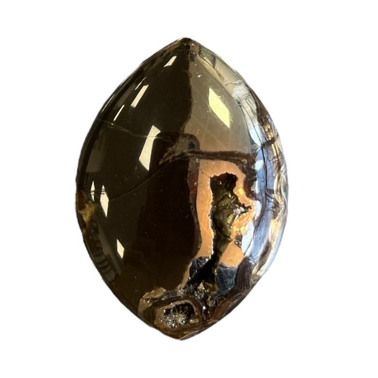 Ammonite pyritisée, AM_P075, taille cabochon, 46x33x8 mm; 19g;
