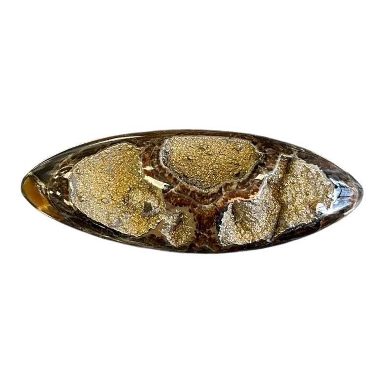 Ammonite pyritisée, AM_P063, taille cabochon, 84x30x15 mm; 42g;