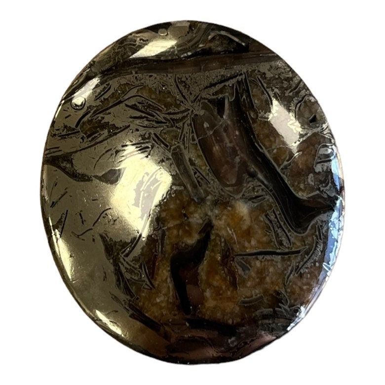 Ammonite pyritisée, AM_P050, taille cabochon, 40x35x7 mm; 16.2g;