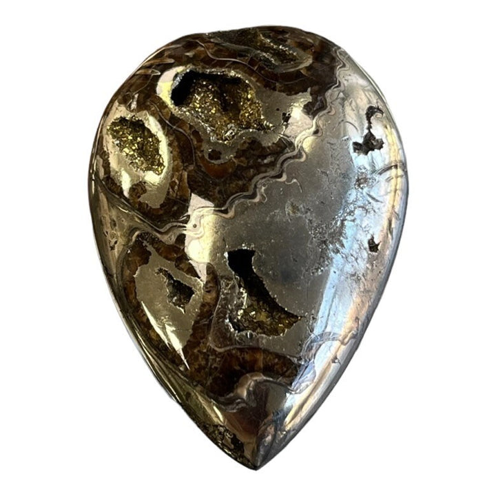 Ammonite pyritisée, AM_P080, taille cabochon, 50x36x10 mm; 27.6g;
