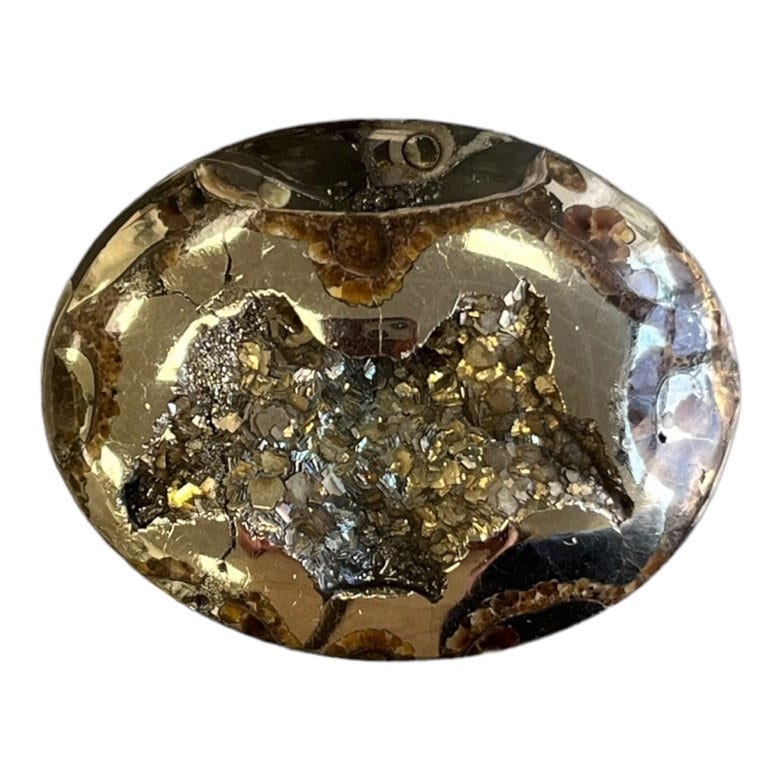 Ammonite pyritisée, AM_P035, taille cabochon, 46x35x9 mm; 22.8g;