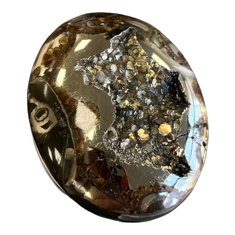 Ammonite pyritisée, AM_P035, taille cabochon, 46x35x9 mm; 22.8g;