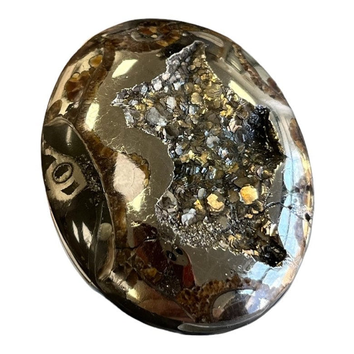 Ammonite pyritisée, AM_P035, taille cabochon, 46x35x9 mm; 22.8g;
