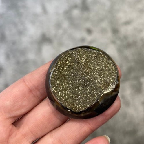 Ammonite pyritisée, AM_P008, taille cabochon, 44 x 44 x12mm; 32g;