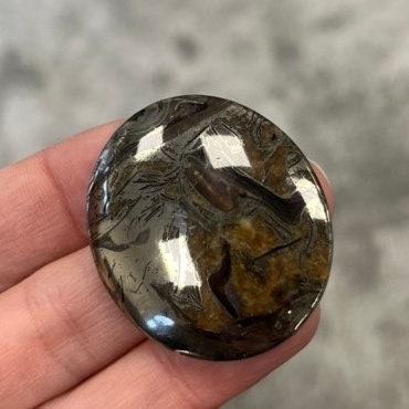 Ammonite pyritisée, AM_P050, taille cabochon, 40x35x7 mm; 16.2g;