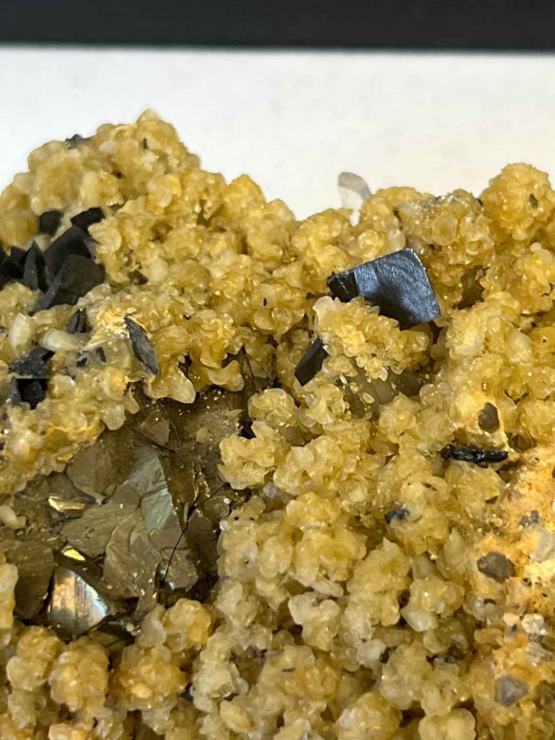 Ferbérite quartz, chalcopyrite Roumanie DB61