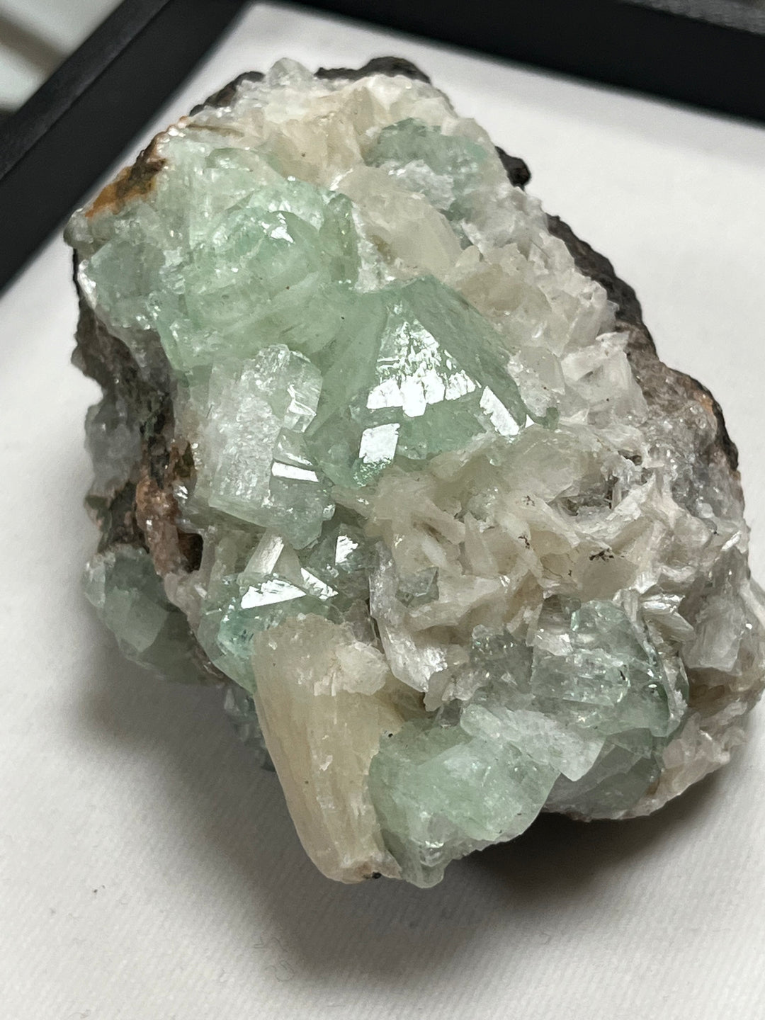 FLUORAPOPHYLLITE stilbite Maharashtra Inde M18W55