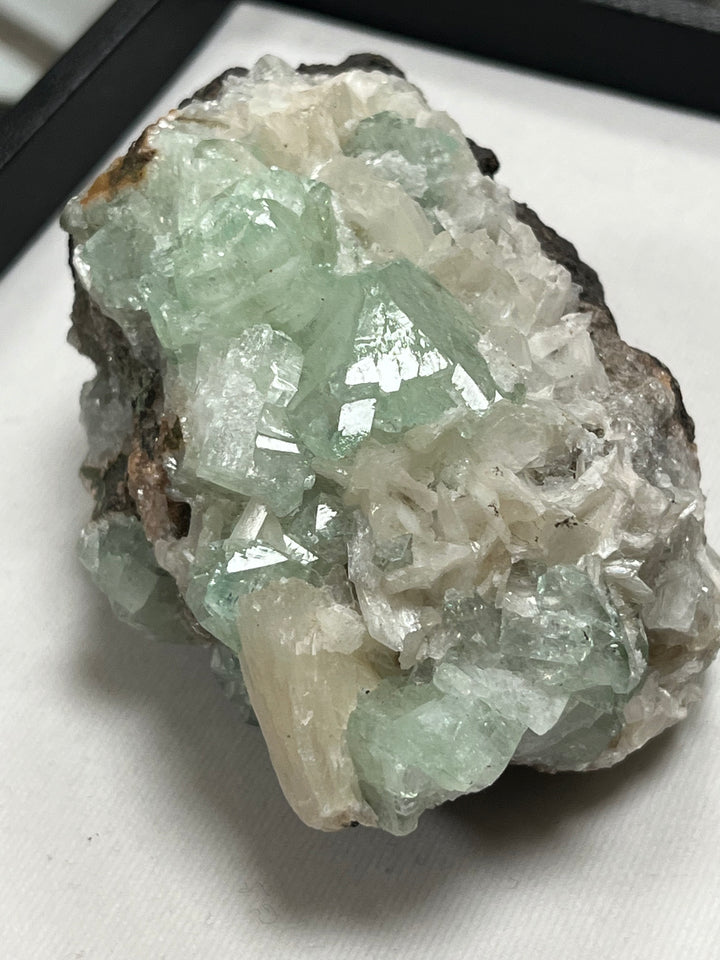 FLUORAPOPHYLLITE stilbite Maharashtra Inde M18W55