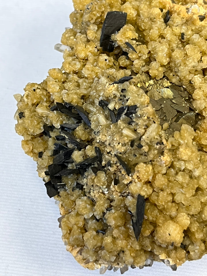 Ferbérite quartz, chalcopyrite Roumanie DB61