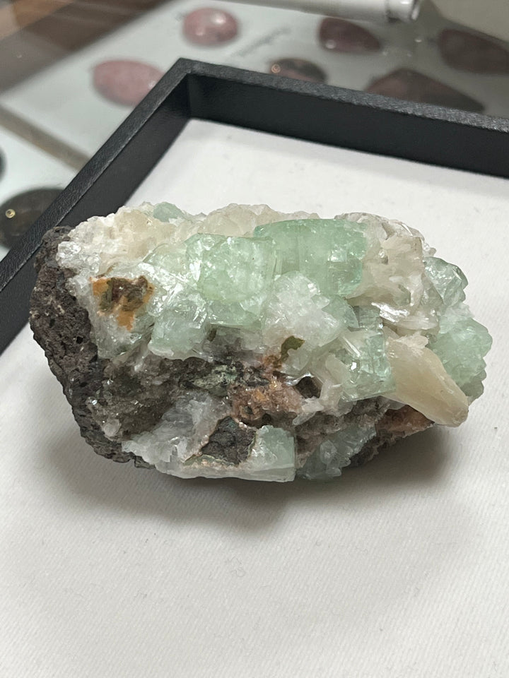 FLUORAPOPHYLLITE stilbite Maharashtra Inde M18W55