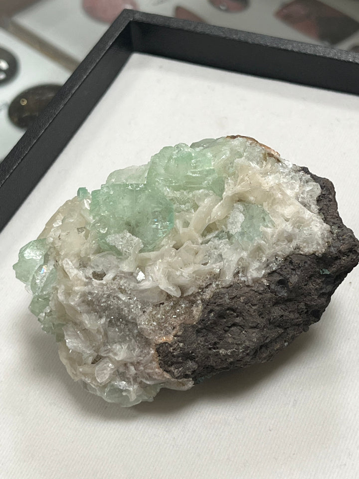 FLUORAPOPHYLLITE stilbite Maharashtra Inde M18W55