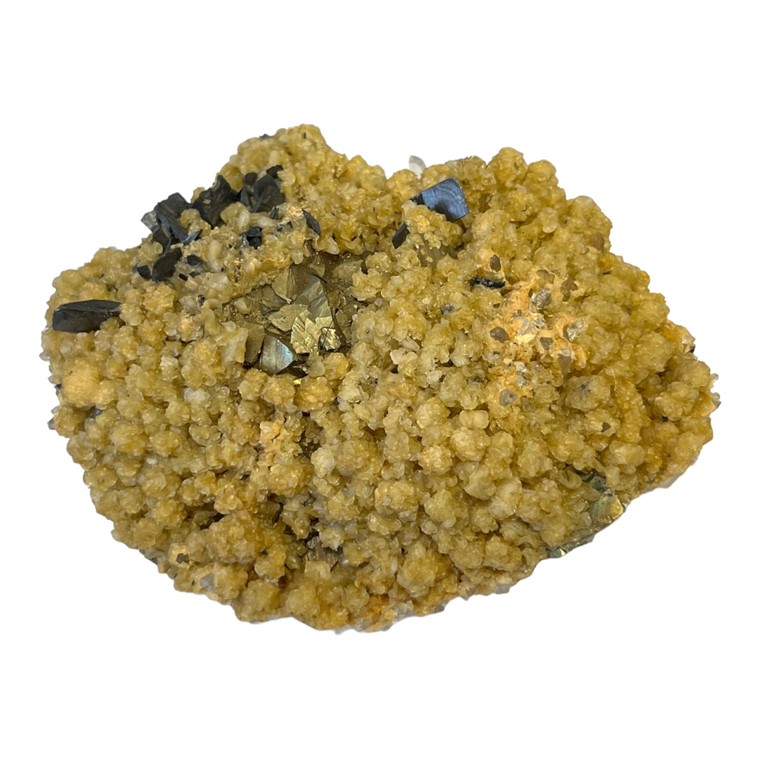 Ferbérite quartz, chalcopyrite Roumanie DB61