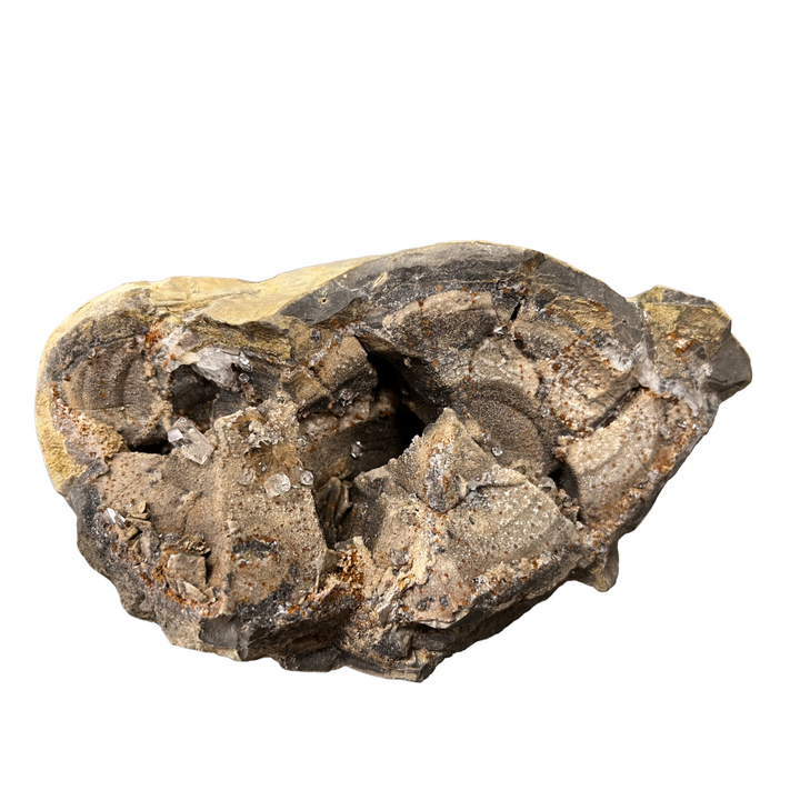 Diamantquarz in Septaria Haues Alpes Frankreich DB31