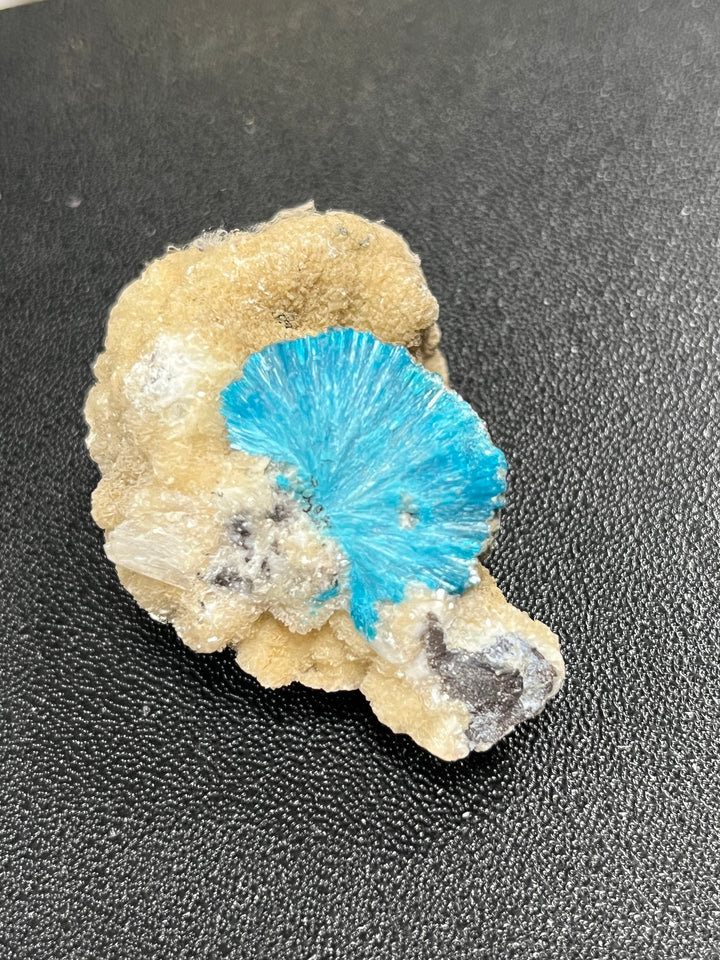 Cavansite maharashtra Inde DW21