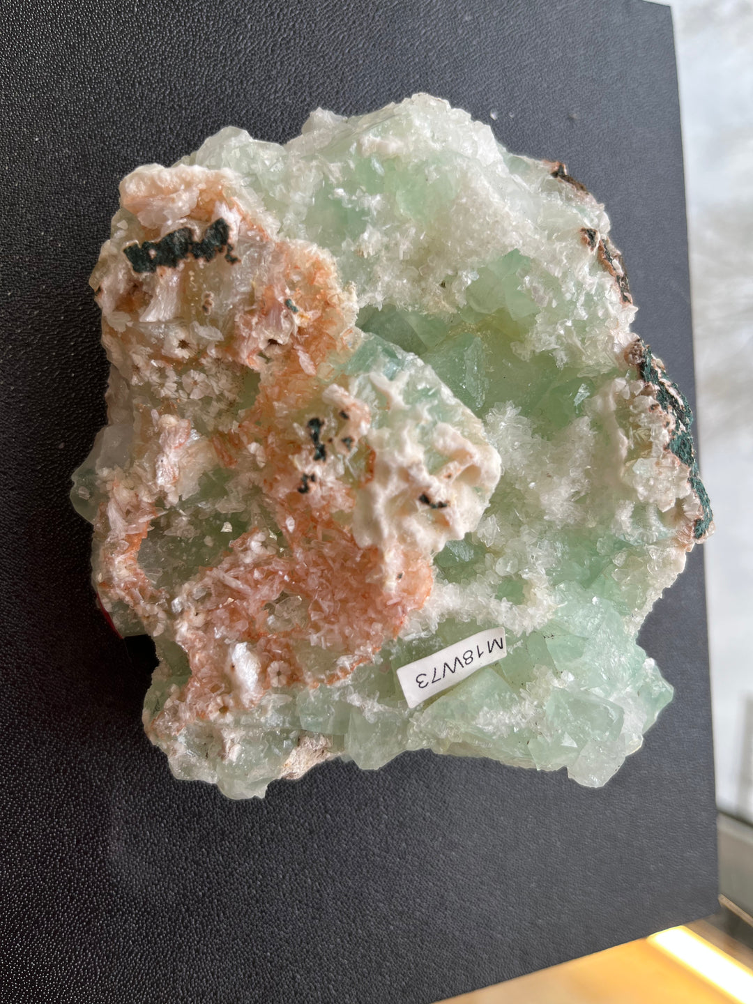 Fluorapophyllite Scolecite heulandite Inde M18W73