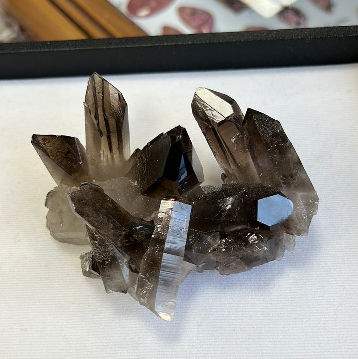 Quartz fumé Brésil QTZ19