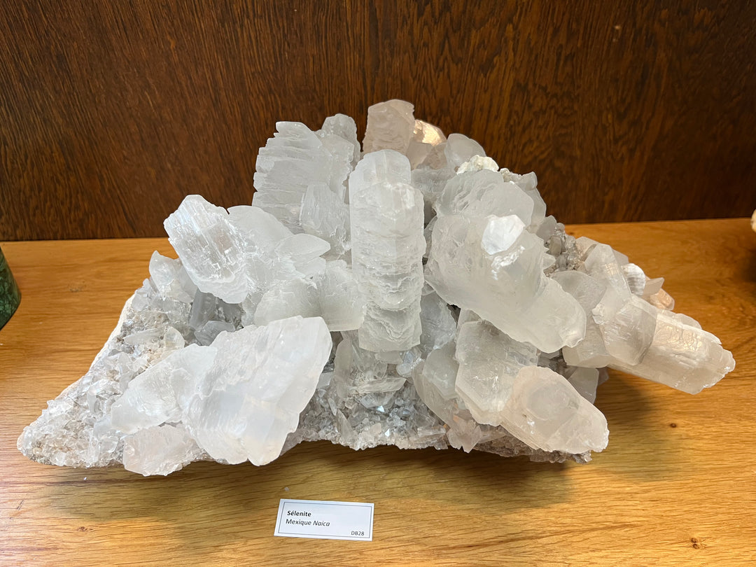 Selenitfischschwanz Naica Mexiko DB28