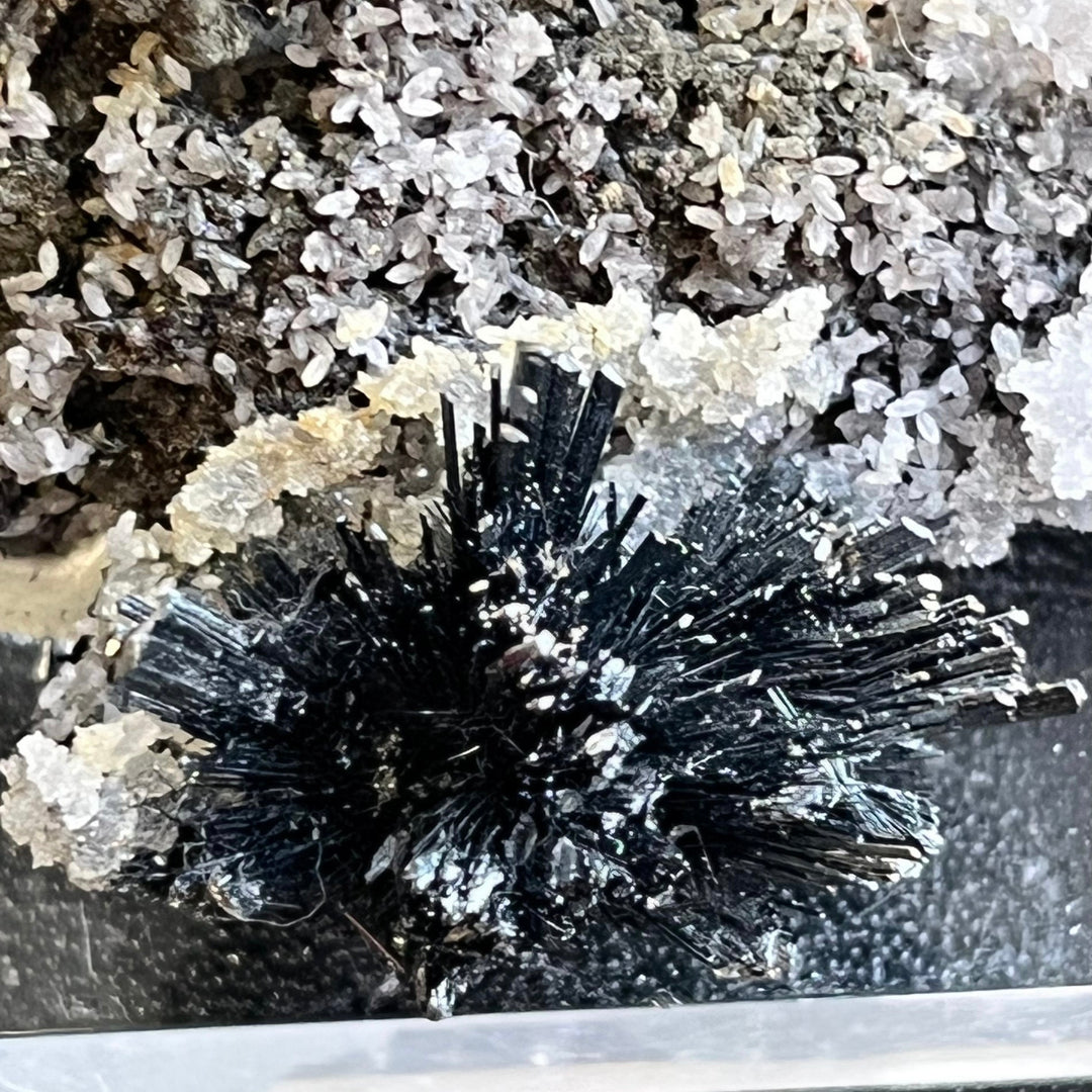 Stibnite sur quartz berthierite Roumanie DA134