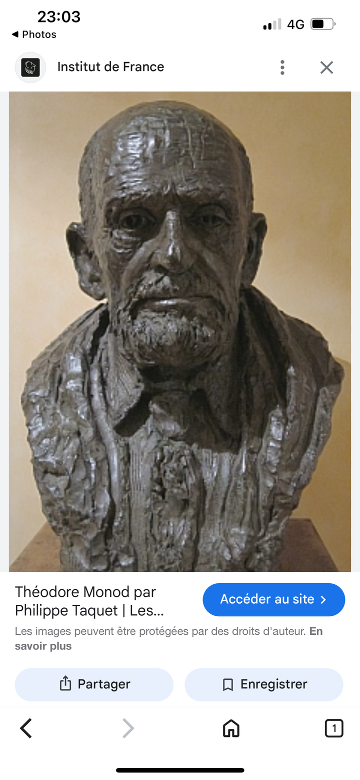 Sculpture tête en plâtre patinee