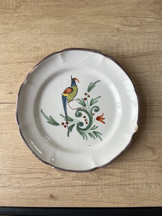 Argonne Waly earthenware parrot plate 19th century