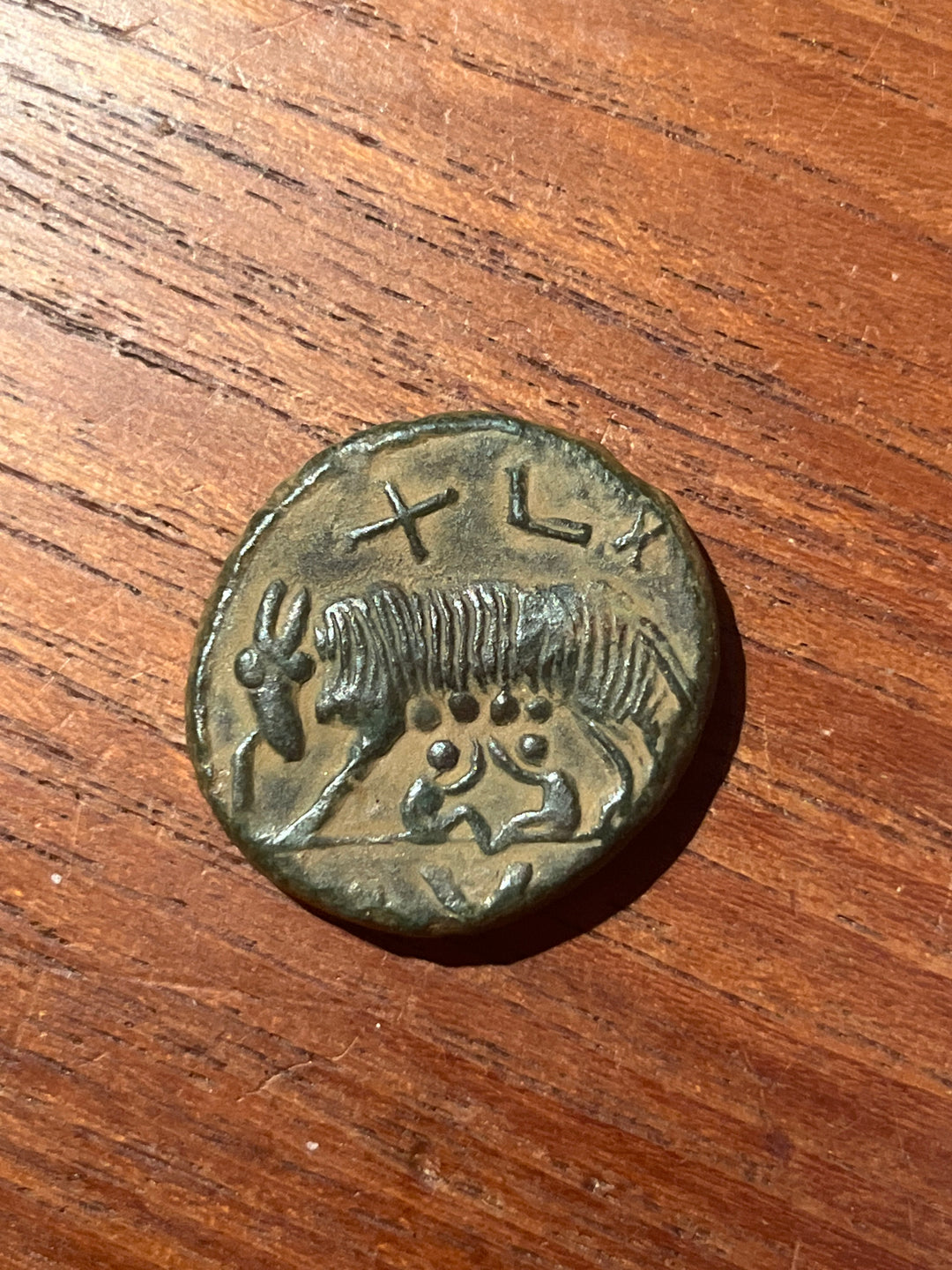40 nummi à la louve ostrogoth de Theoderic pour Rome