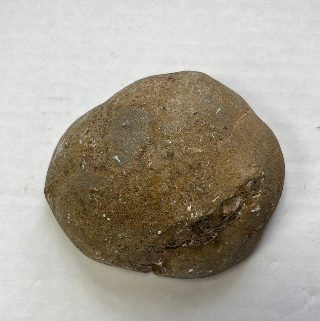 Septaria calcite C124
