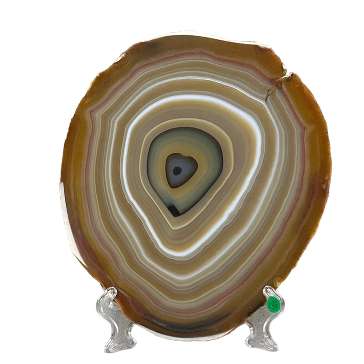 Tranche Agate polie du Brésil M18S256