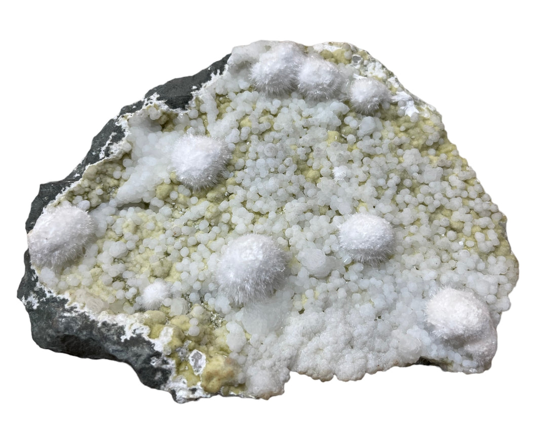 Okénite gyrolite et prehnite jaune Inde C57