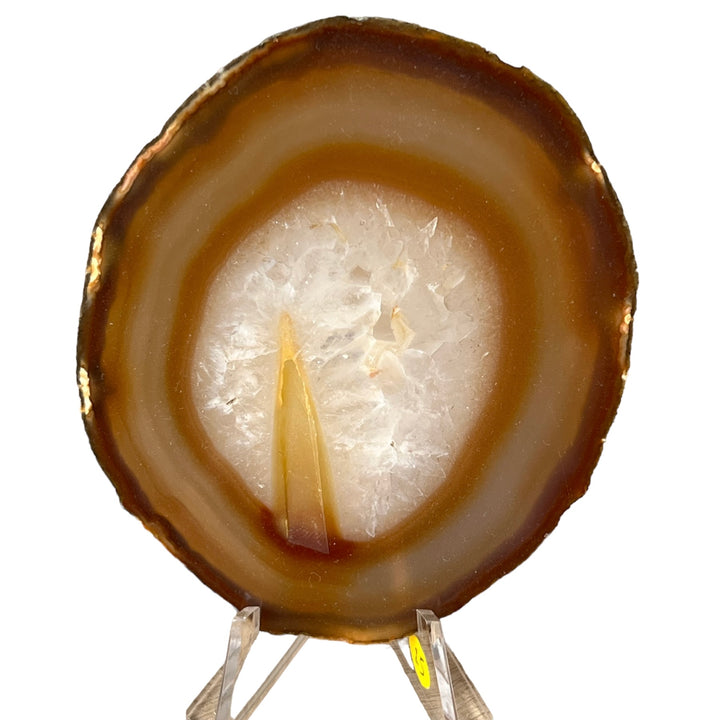 Brazilian Agate Slice DB159