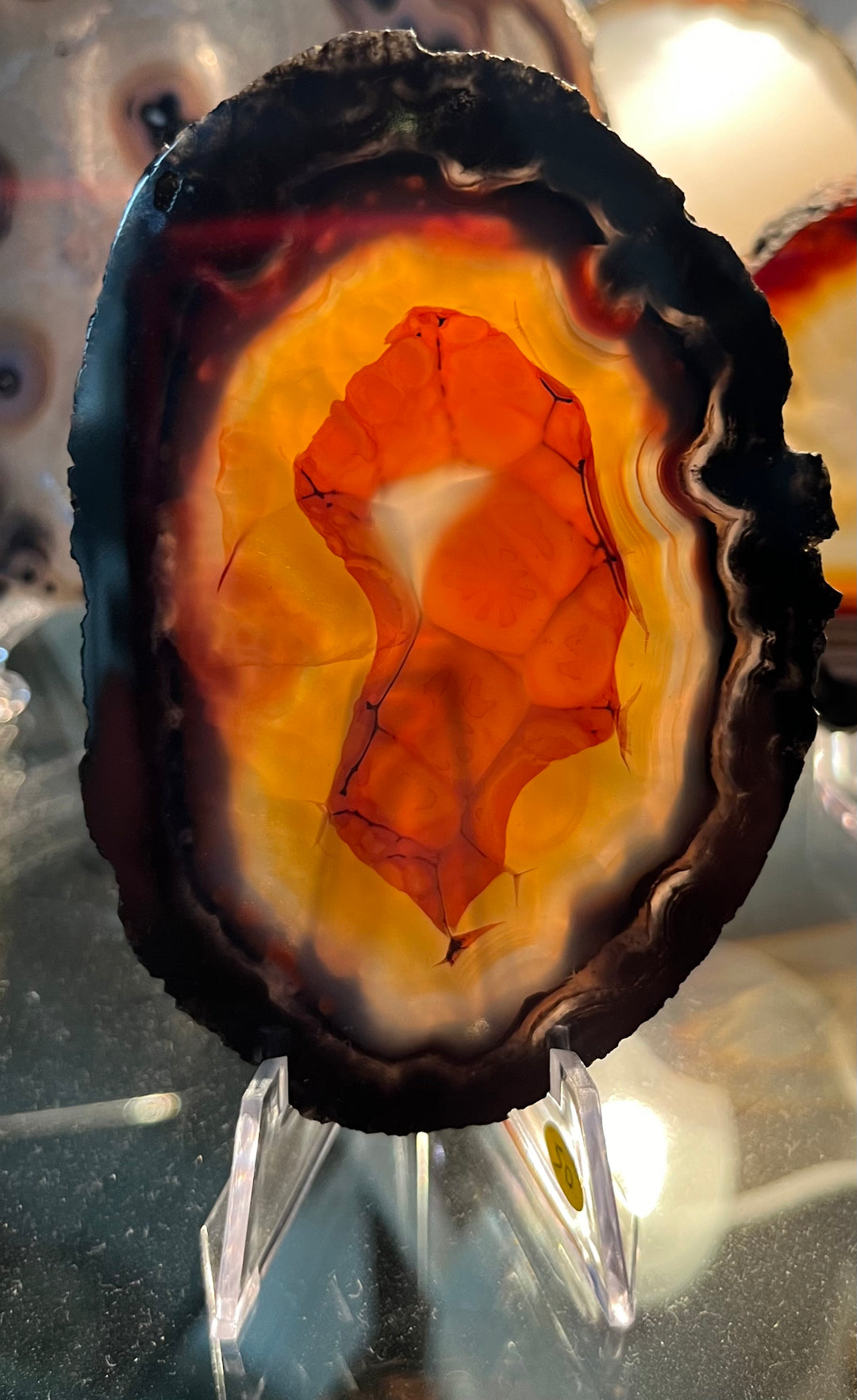 Brazilian Agate Slice DB163