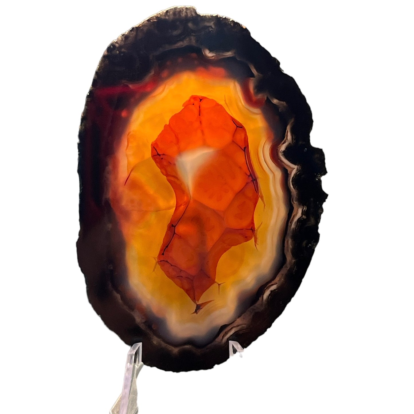 Tranche Agate du Brésil DB163