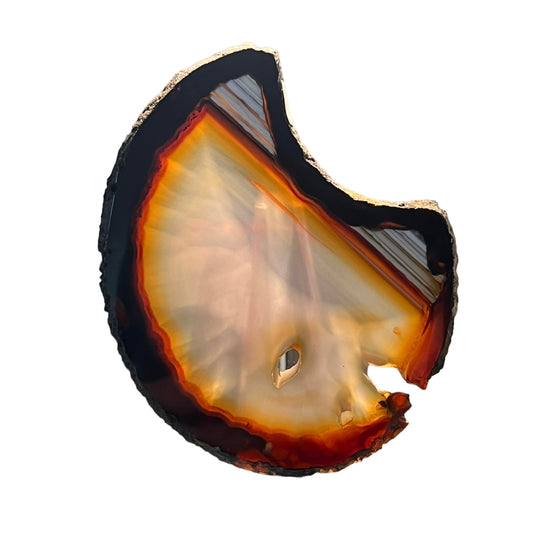 Brazilian Agate Slice M18S260-7