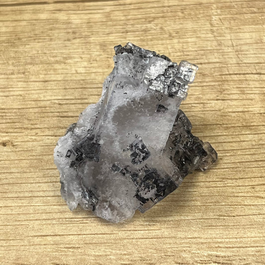 Fluorite inclusion Pyrobitumen Emilio Mine Asturias Spain FLS92