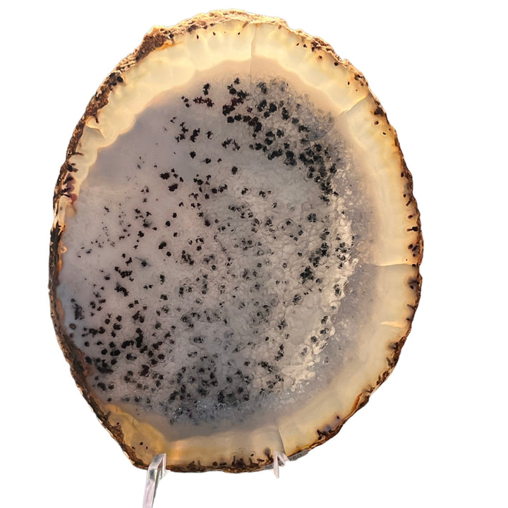 Brazilian Agate Slice M18S260-8